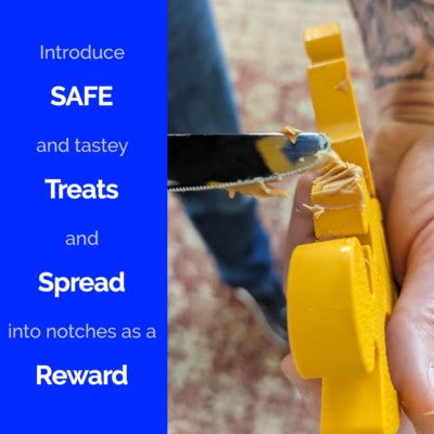 4 The Puppy Puzzle-REWARD