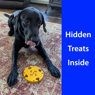 5 The Puppy Puzzle-Hidden Treats